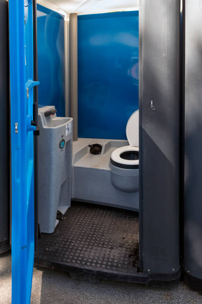 Best Luxury portable toilet rental  in Millvale, PA