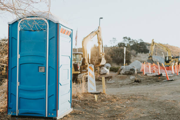 Best Sanitation services for porta potties  in Millvale, PA